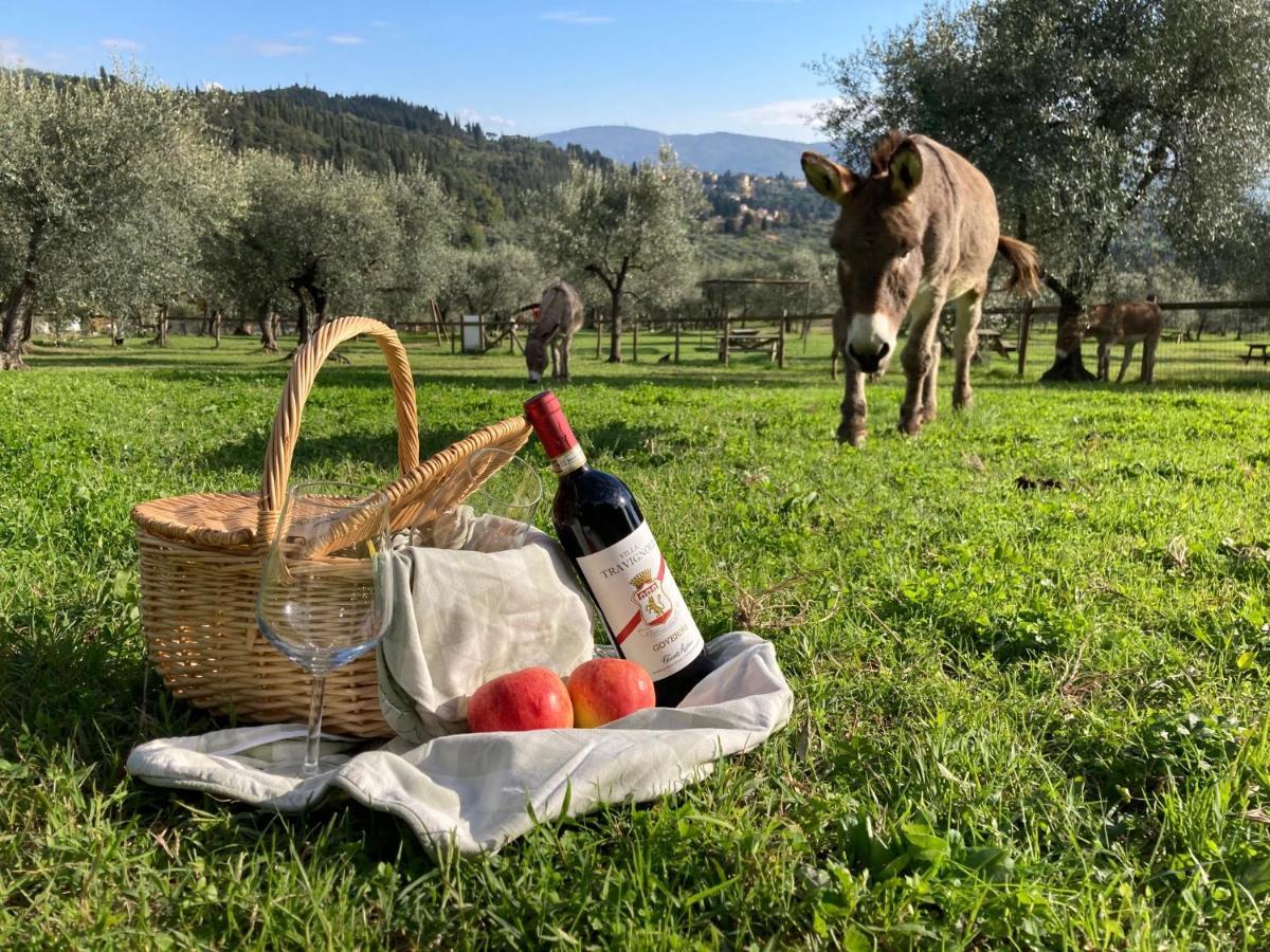 Gasthaus Fattoria Di Maiano Fiesole Exterior foto