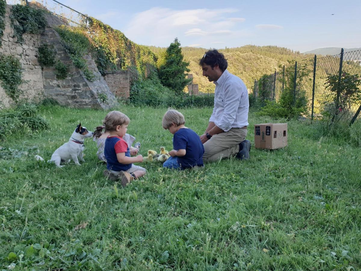 Gasthaus Fattoria Di Maiano Fiesole Exterior foto